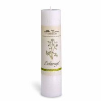 Allgäuer Heilkräuterkerze Lichtengel –...